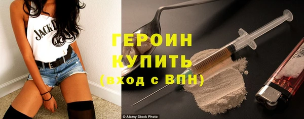 индика Ладушкин