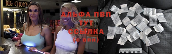 индика Ладушкин