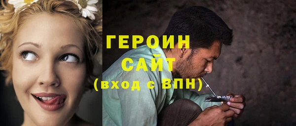индика Ладушкин