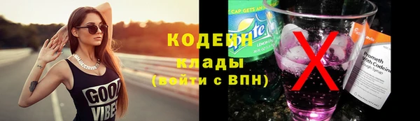 индика Ладушкин
