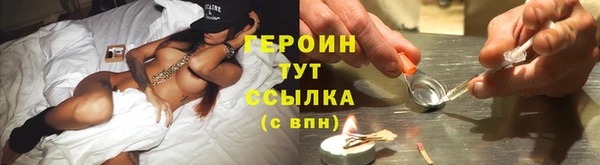 индика Ладушкин