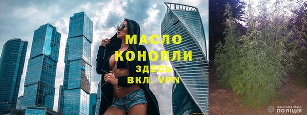 индика Ладушкин