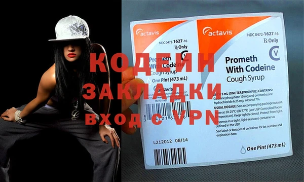 индика Ладушкин