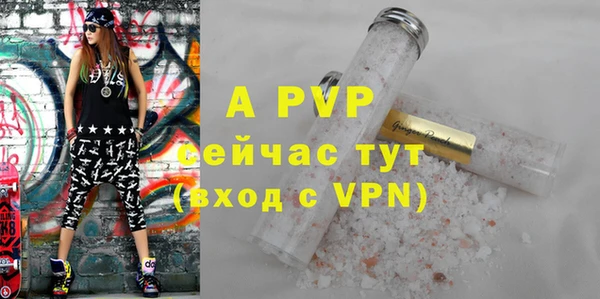 индика Ладушкин