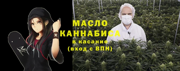 индика Ладушкин