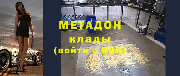 индика Ладушкин