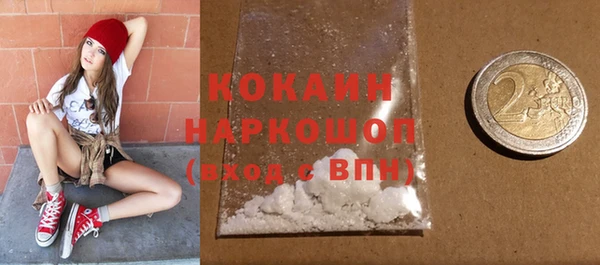индика Ладушкин