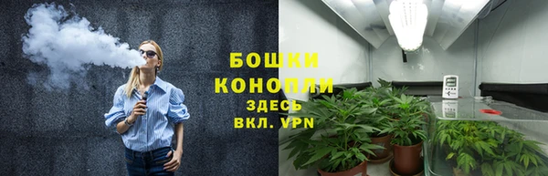 индика Ладушкин