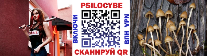 Псилоцибиновые грибы ЛСД  Купить закладки  Кириши 