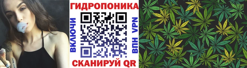 Бошки марихуана марихуана  Купить  Кириши 